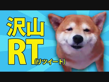沢山RTされたワンコ動画集【厳選：犬動画】