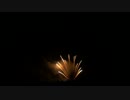 2017.5.13 （福岡）海の中道芸術花火 ⑥