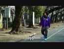 ELEAGUE - SFV Invitational, Player Profile_ Daigo Umehara