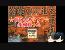 【刀剣乱舞】落葉の大地を走れ　パート53【偽実況】