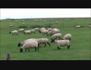 【のら】今年も北海道ツーリングに行きたくなるかもしれない動画