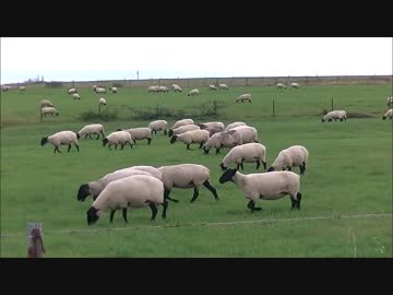 【のら】今年も北海道ツーリングに行きたくなるかもしれない動画