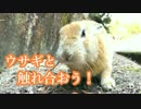 兎と廃墟の島大久野島を探検しようＺＥ！ｐａｒｔ２【オトナも遊ぼう】