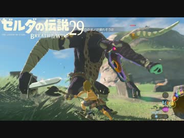 【実況】新たな冒険へ！ゼルダの伝説 ブレスオブザワイルド ぱーと29