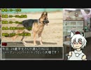 INUカス☆