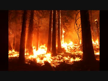 【ニコラップ】らぶらぶ❤さんくちゅあり【原OFAAFO】