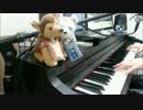 【ボク、運命の人です】背中越しのチャンス 弾いてみた【ピアノ】