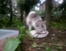 20170516(2)
