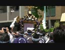 平成29年三社祭 西浅三北 神輿 2017/05/21