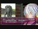 SCP-625-JP - 夢をかなでるゾウ