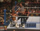【WWF】ブレット・ハート(ch.)vsショーン・マイケルズ【Wrestlemania XII】