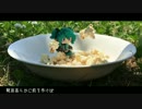 【初音ミク】ポップコーン・シアター【実写PV】