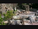 【けものフレンズコラボ記念】グレープ君がみてる４