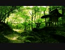 【作業用BGM】Rin'＜歌入曲メドレー＞