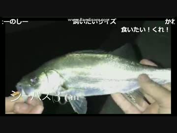 2017-05-15 バチルアーでシーバス（セイゴ）　HITシーン
