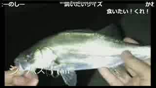 2017-05-15 バチルアーでシーバス（セイゴ）　HITシーン