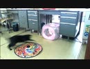 ハプニング・笑い　おもちゃで遊んでいたら・・・