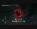 【ダークソウル３】愛を囁く侵入４(+対人)