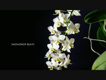 トラック提供 #20