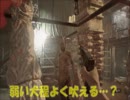 【実況】小娘２人の絶体絶命かくれんぼ～バイオハザード７～part12