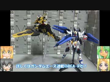 HGシュバルツリッター メカコレDB Bスカルマサカー　ゆっくりプラモ動画