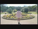 【かずは】メルト【踊ってみた】