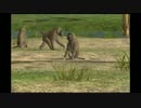 【実況】大自然劇場　草原第三十二幕【AFRIKA】