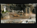 【けもフレ】東武動物公園フルル＆グレープ君トークショー(2017/05/20）
