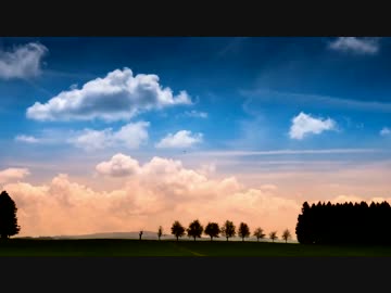 もう迷いはない神社