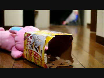その箱は敵にゃー
