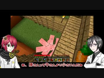 【刀剣マイクラ】信濃と薬研で本丸作り⑬