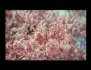 【学怖S】学校であった怖い話を克服する　その１４【たれぽん】
