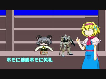 NYNキャス音声4.06小隊