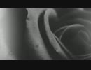 黒炎（お試しUP）