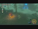 スタルヒノックスの目玉を運んでみた