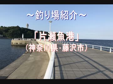 釣り場紹介 その11（片瀬漁港）