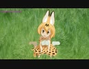 【MMD】サーバルが急に話しかけて来たけど、ネコ語だからわからない