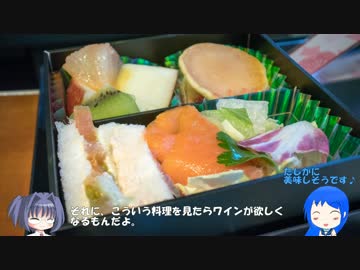 【たぶん艦トラあわ～♪】久しぶりにANAのプレミアムに乗るだけの動画