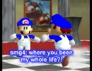 [スーパーマリオ64]SMG4のある日の出来事