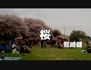 【アコギ弾き語りカバー】鷲崎健「桜」を歌ってみた