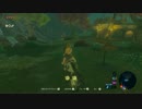 ゼルダの伝説ブレスオブザワイルドマスターソード縛り　道のり編　part12