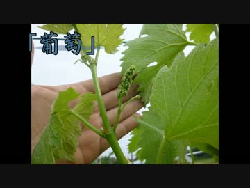 まったり作業報告　Vol.2