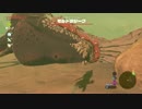 △ハイラルの光になってくるわ166【BoWのんびり観光実況】ゲルド編