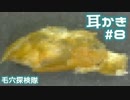 第15位：#8 匠の耳かきで耳狙除してみた