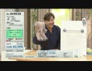 QVC福島 - ふわもこで吸水 速乾！SUSU(吸う吸う) ver.石橋2