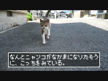 【ニャンコクエスト】空と海と猫の島
