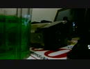 ammusic_170528.avi