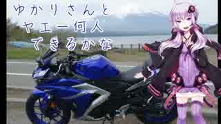 ゆかりさんとヤエー何人できるかな