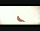 嵐丸 ♣ さえずり　を歌ってみた