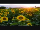 【HUMMING LIFE】残滓/茶太